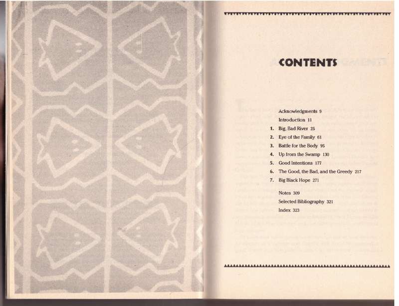 Africa: Dispatches from a Fragile Continent - Blaine Harden
