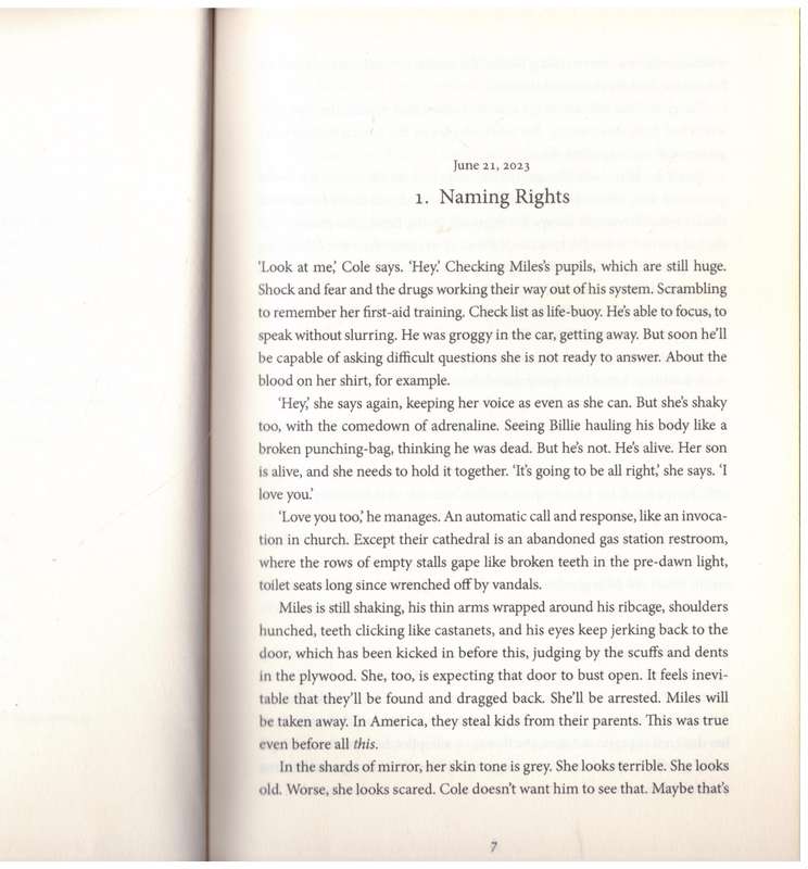 Afterland -- Lauren Beukes