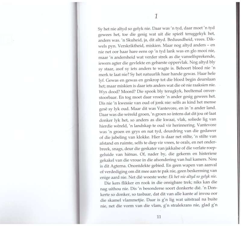 Anderkant die Stilte  --  André P. Brink