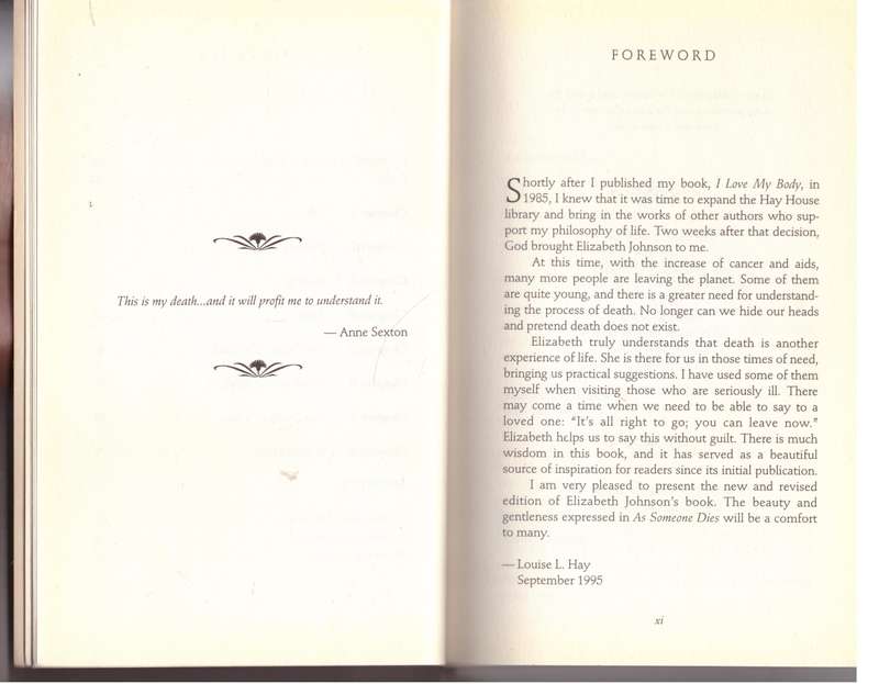 As Someone Dies: A Handbook for the Living - Elizabeth A. Johnson