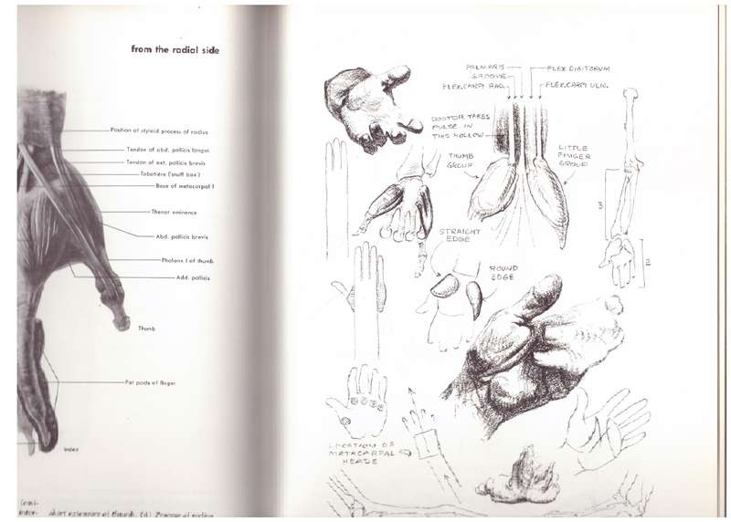 Atlas of Human Anatomy for the Artist - Stephen Rogers Peck