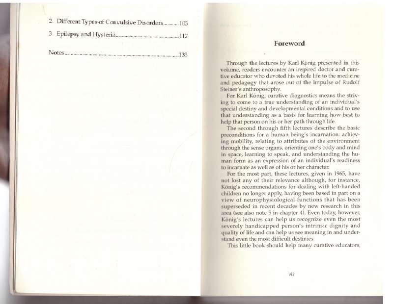 Being Human: Diagnosis in Curative Education - Karl König