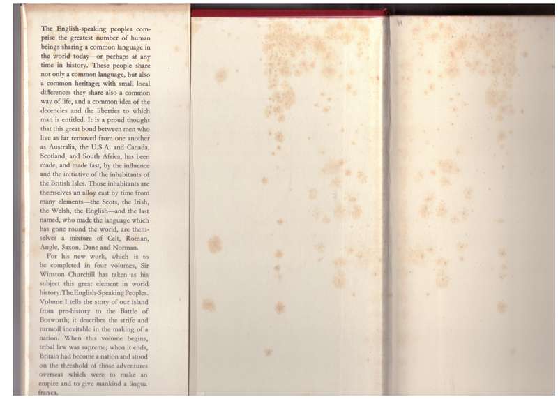 The Birth of Britain: A History of the English-Speaking Peoples, Vol 1 --  Winston S. Churchill