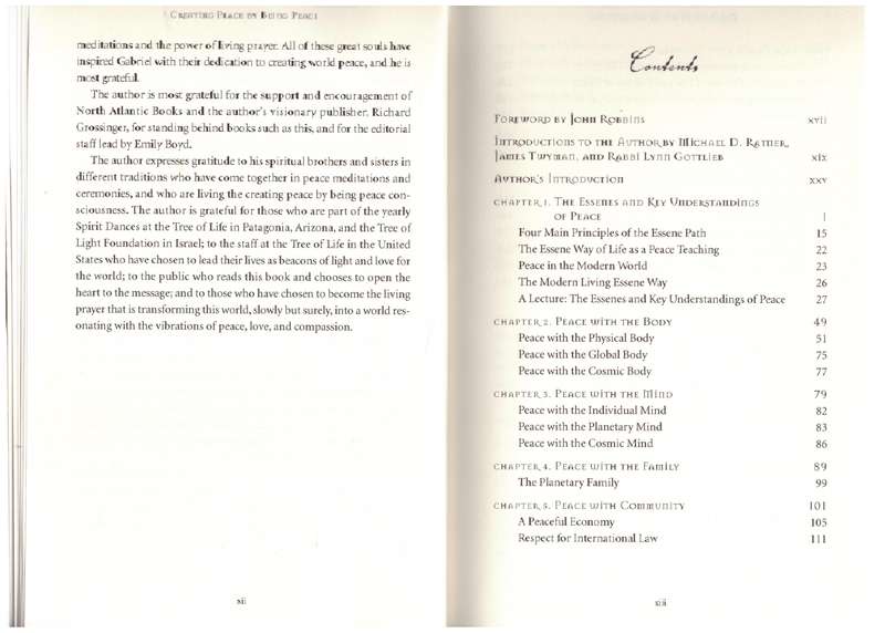 Creating Peace by Being Peace: The Essene Sevenfold Path - Gabriel Cousens