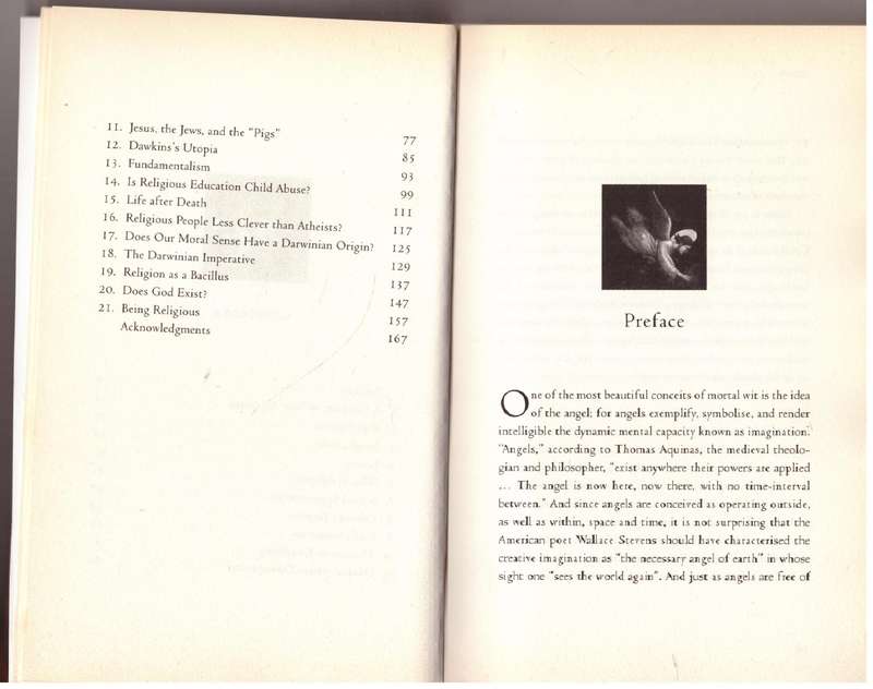 Darwin's Angel : An Angelic Riposte to the God Delusion - John Cornwell