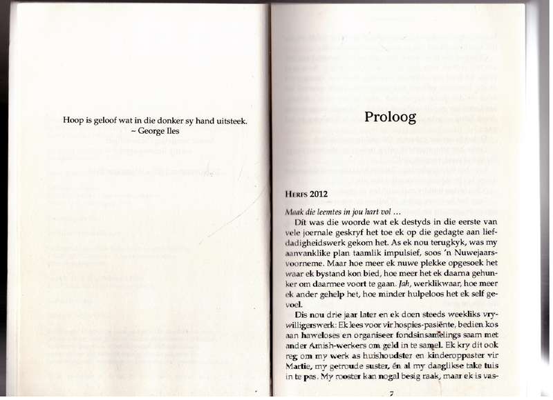 Die Versoening  - Beverly Lewis