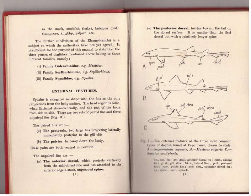The Dissection of the Spiny Dogfish and the Platanna  --  N. A. H. Millard, J. T. Robinson
