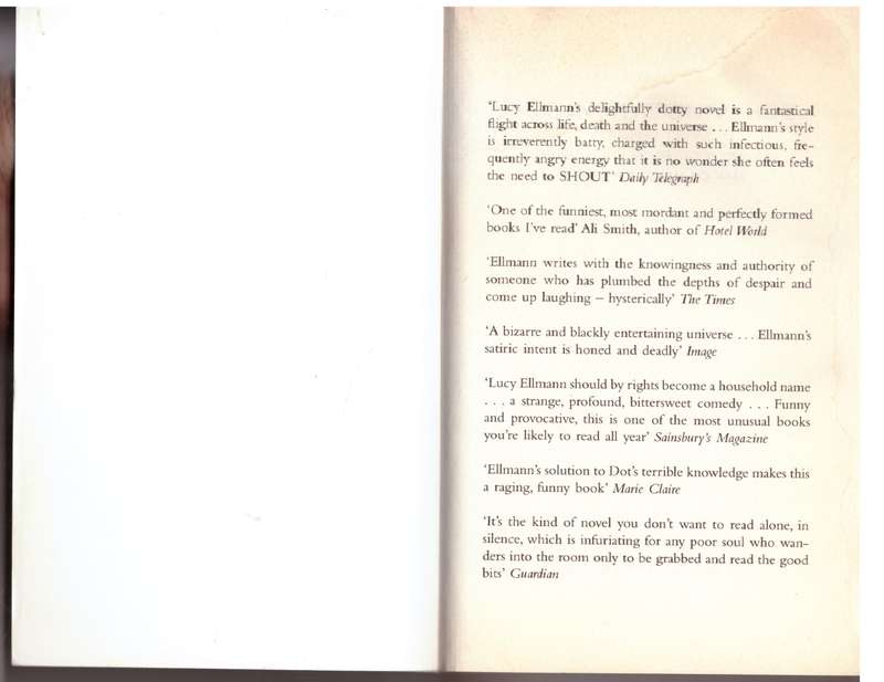 Dot in the Universe -- Lucy Ellmann