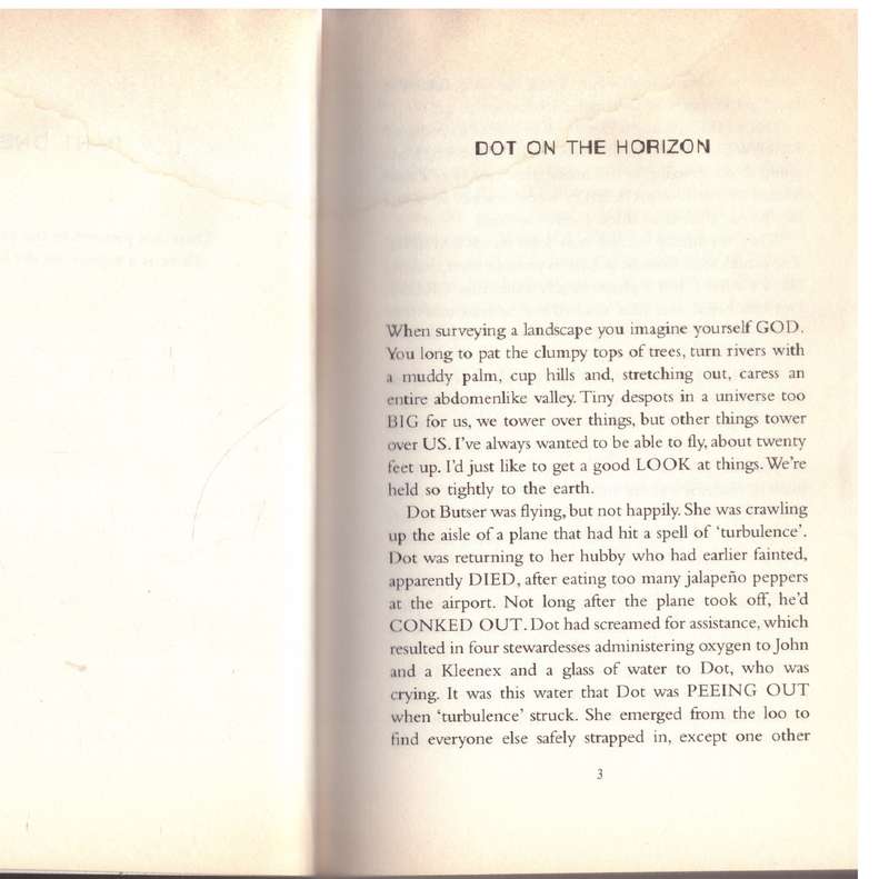Dot in the Universe -- Lucy Ellmann