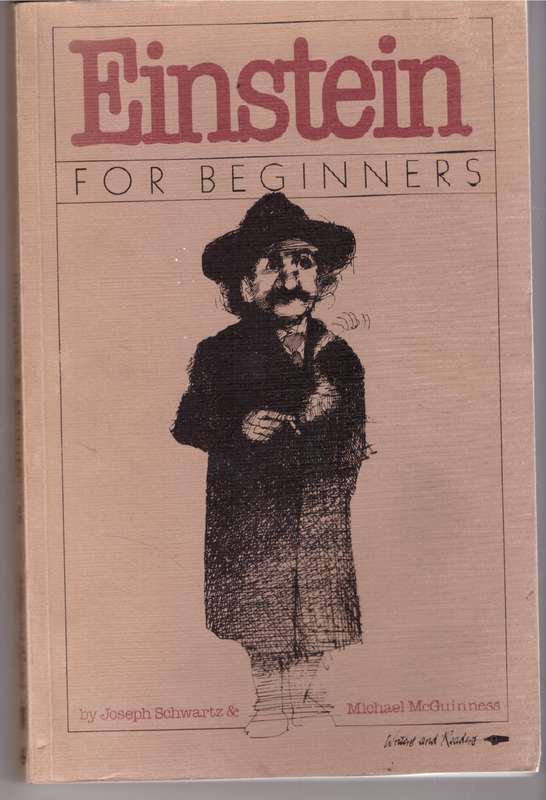 Einstein for Beginners - Joseph Schwartz, Michael McGuinness