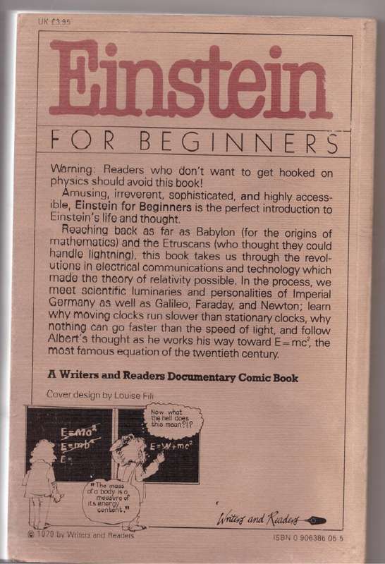 Einstein for Beginners - Joseph Schwartz, Michael McGuinness
