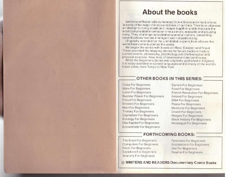 Einstein for Beginners - Joseph Schwartz, Michael McGuinness