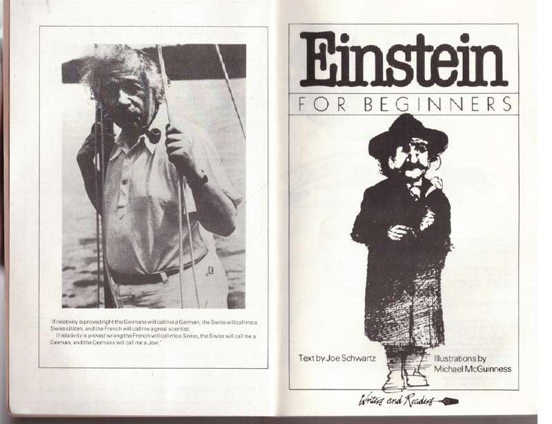 Einstein for Beginners - Joseph Schwartz, Michael McGuinness