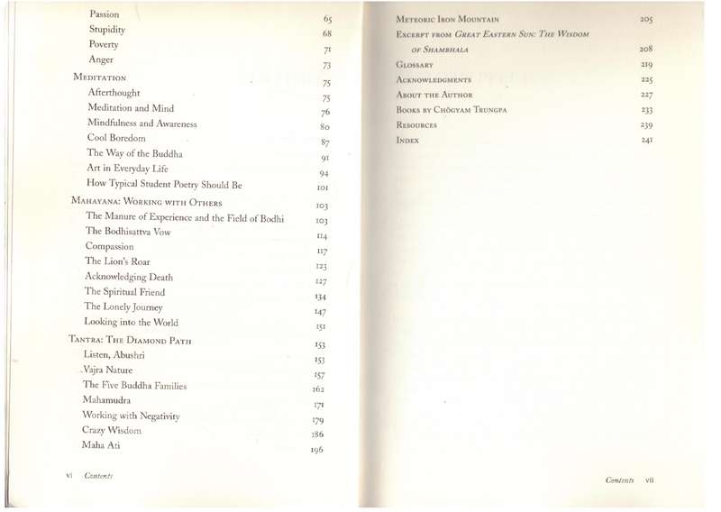The Essential Chogyam Trungpa  - Carolyn Rose Gimian [Editor]