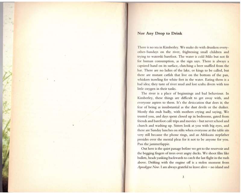 Gardening at Night  --  Diane Awerbuck