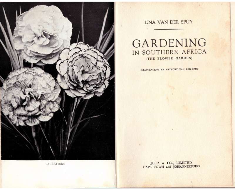 Gardening in South Africa: The Flower Garden -- Una Van der Spuy