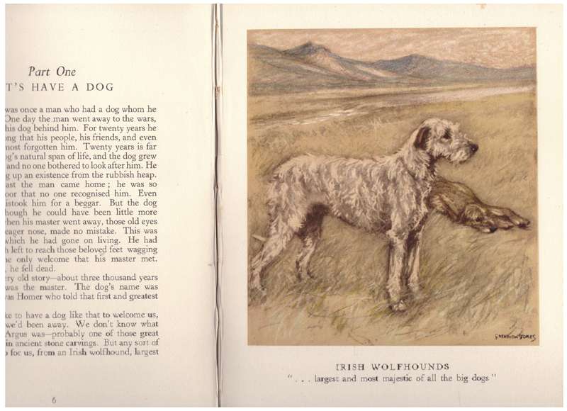 Getting to Know Dogs --  Vernon Stokes, Cynthia Harnett