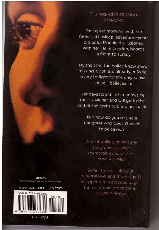 The Good Sister -- Morgan Jones