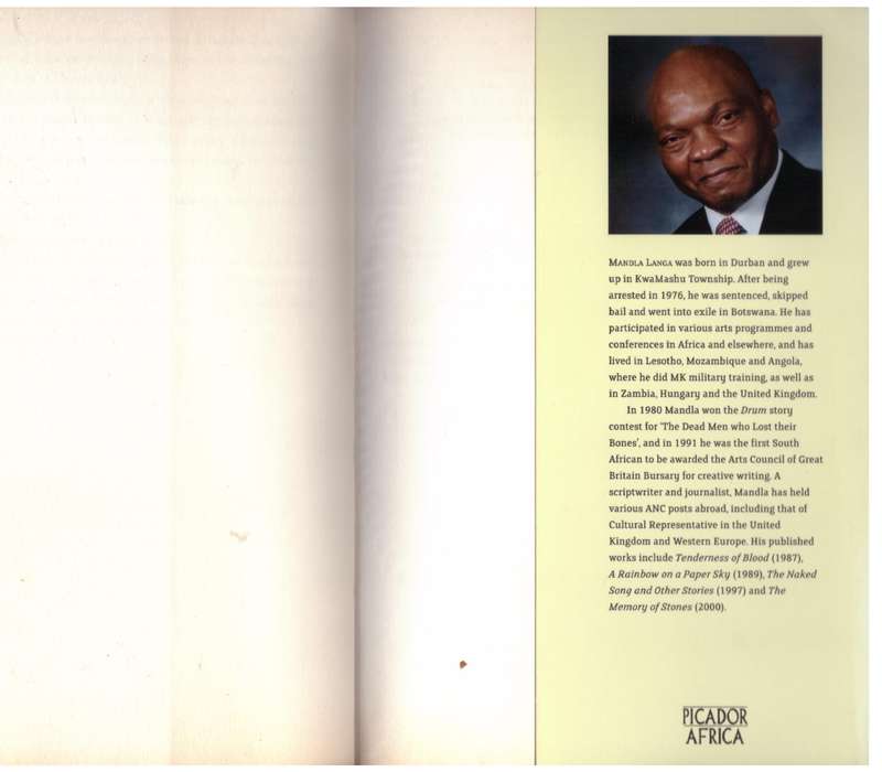 The Lost Colours of the Chameleon - Mandla Langa