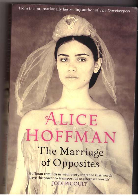 The Marriage of Opposites  Alice Hoffman