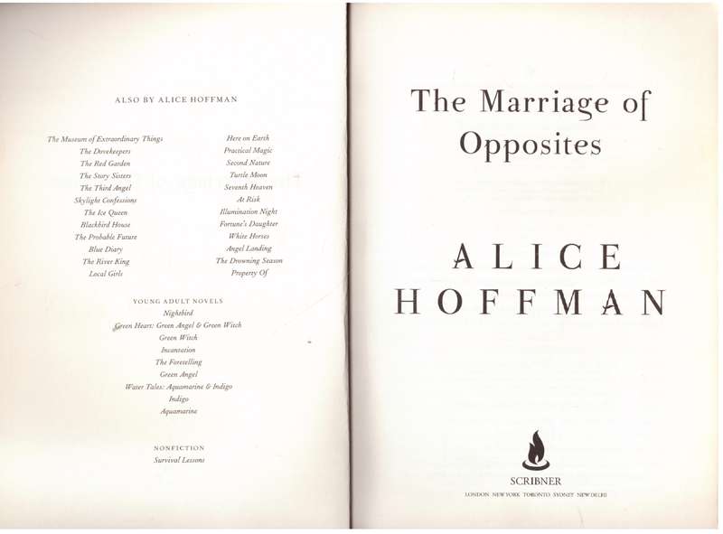 The Marriage of Opposites  Alice Hoffman