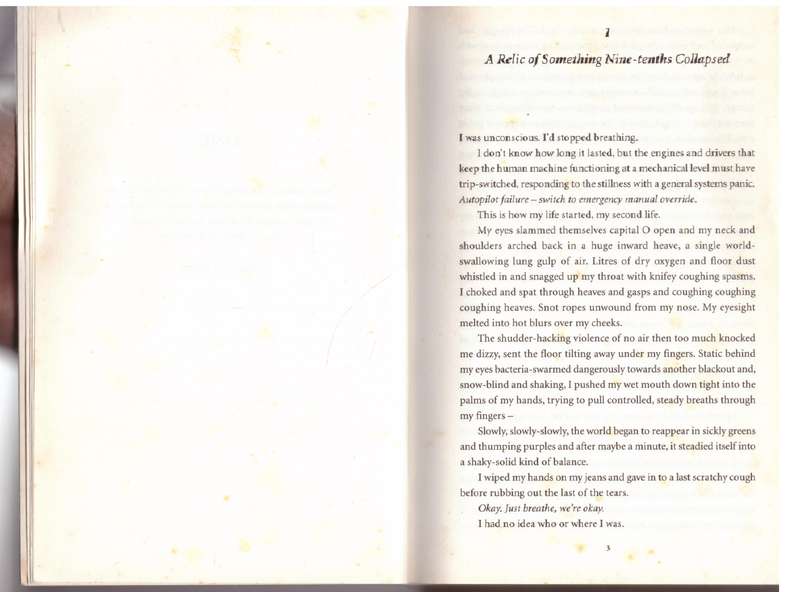 The Raw Shark Texts - Steven Hall