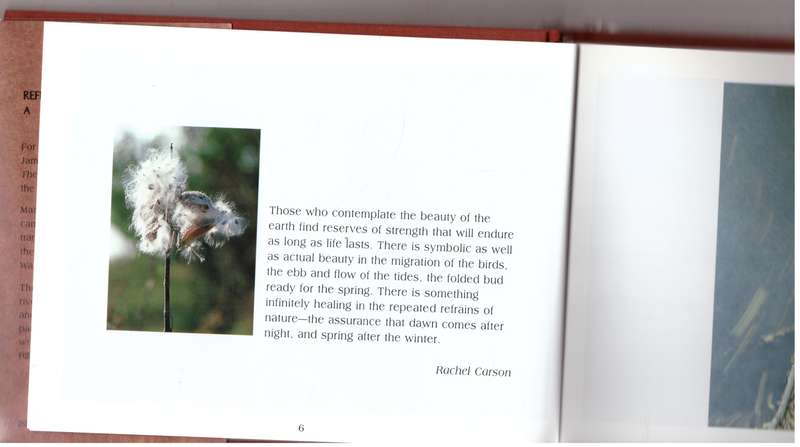 Reflections of Madison County: A Visual Journey  --  Mark F. Heffron