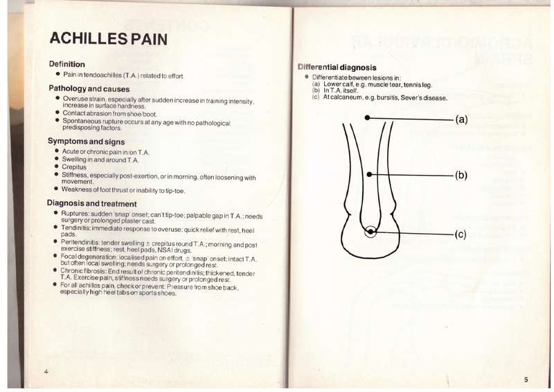 The Sport Medicine Handbook - Peter N. Sperryn