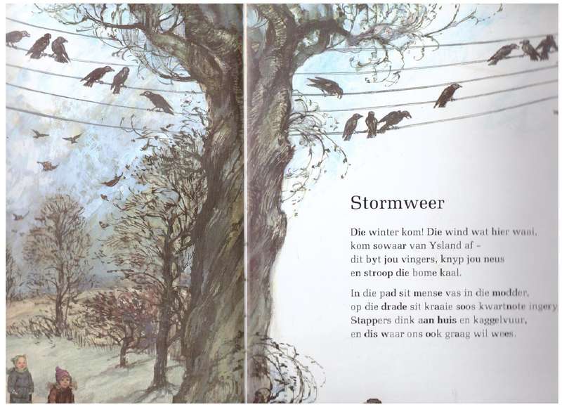 Stories voor Die Vuur - Shirley Hughes