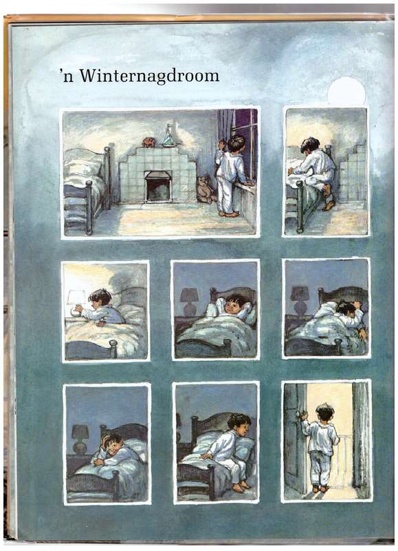 Stories voor Die Vuur - Shirley Hughes