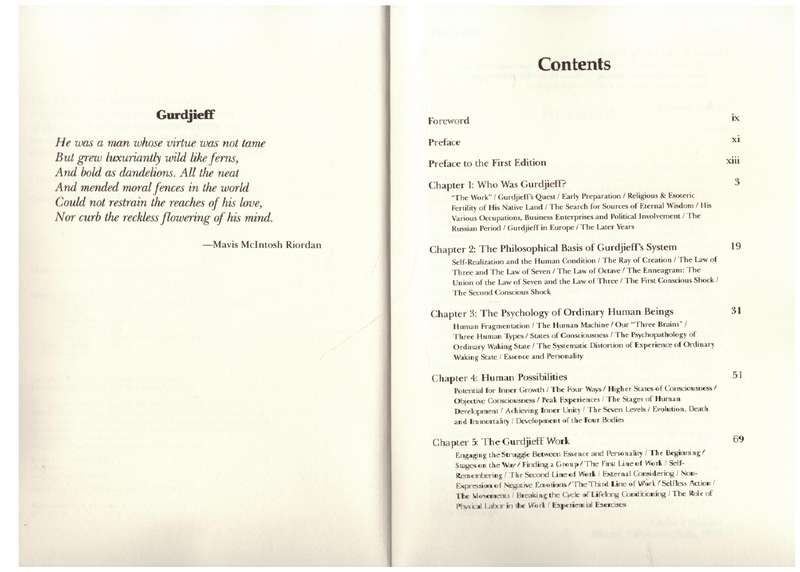 The Gurdjieff Work - Kathleen Riordan Speeth