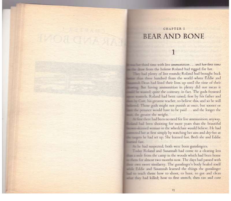 The Waste Lands: The Dark Tower III  Stephen King