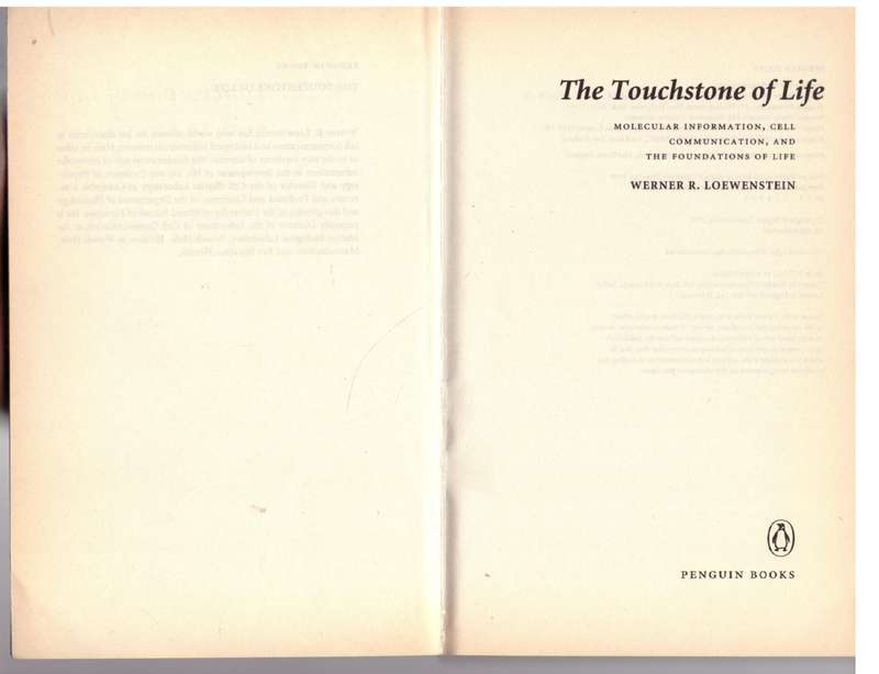 The Touchstone of Life - Werner R Loewenstein