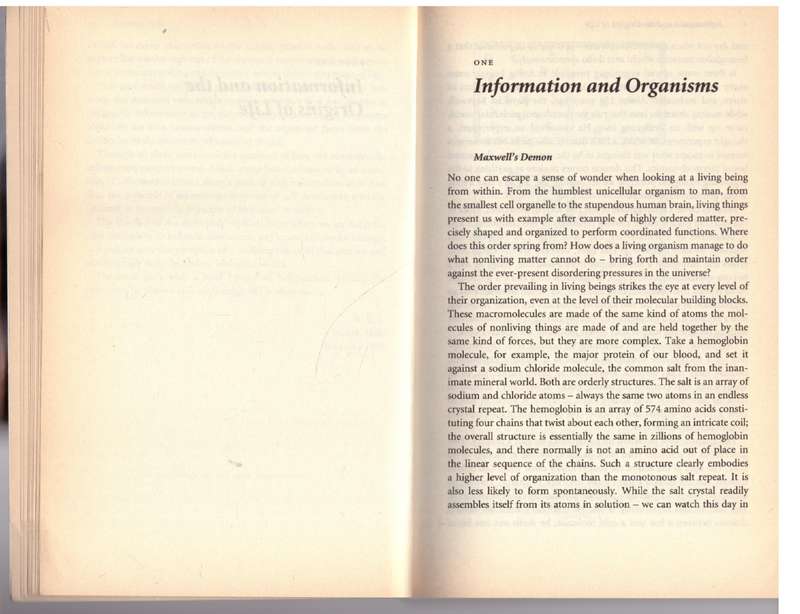 The Touchstone of Life - Werner R Loewenstein