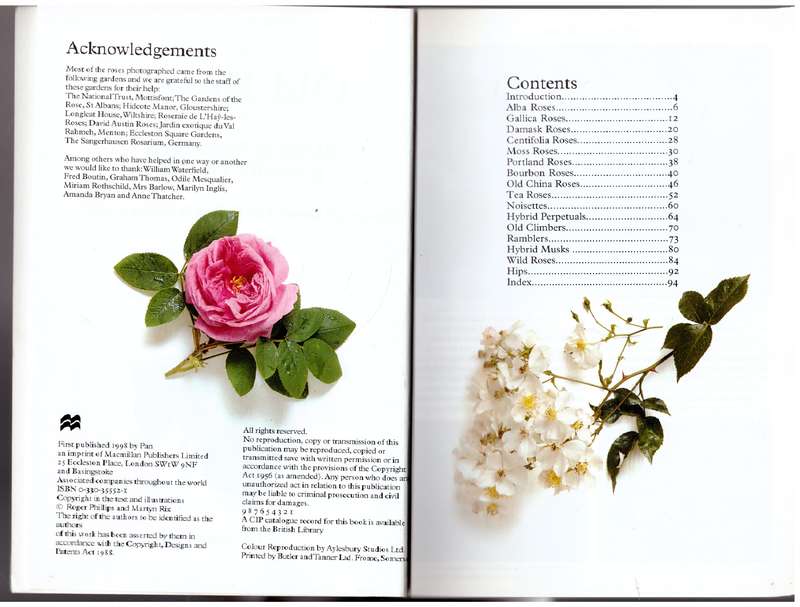 Traditional Old Roses (The Pan Plant Chooser Series)  --  Roger Phillips, Martyn Rix