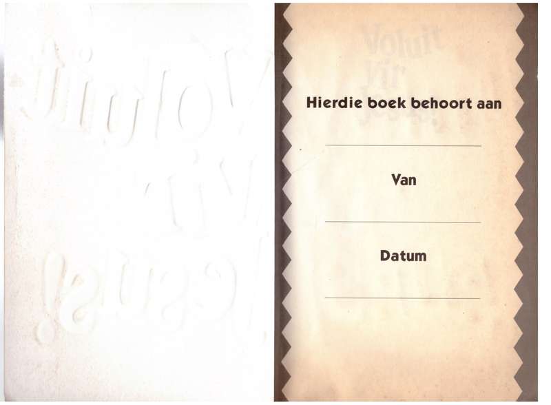 Voluit vir Jesus!: 'n Bybelse dagboek vir kinders  -   Johan Smit, Nina Smit