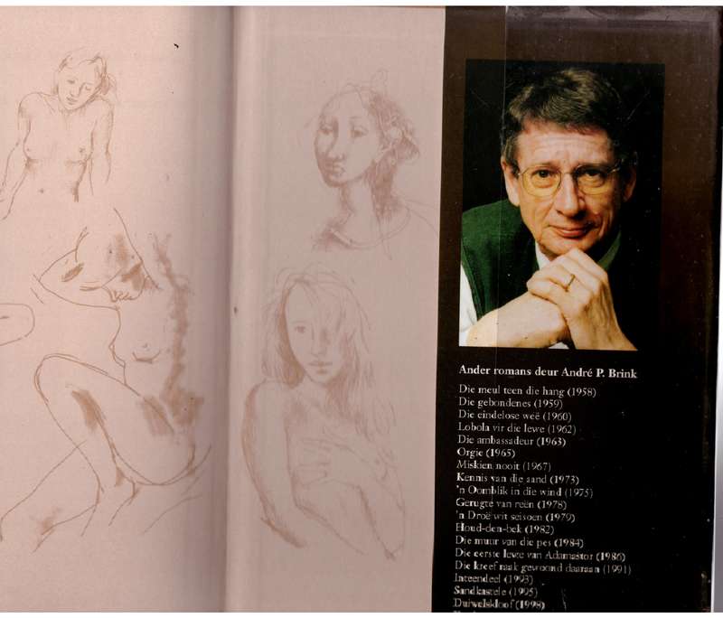 Voor Ek Vergeet: Roman -- André P. Brink