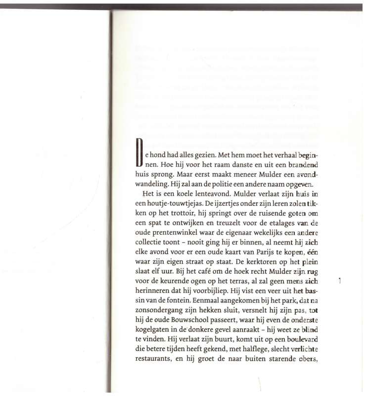 De wandelaar: roman  -  Adriaan Van Dis