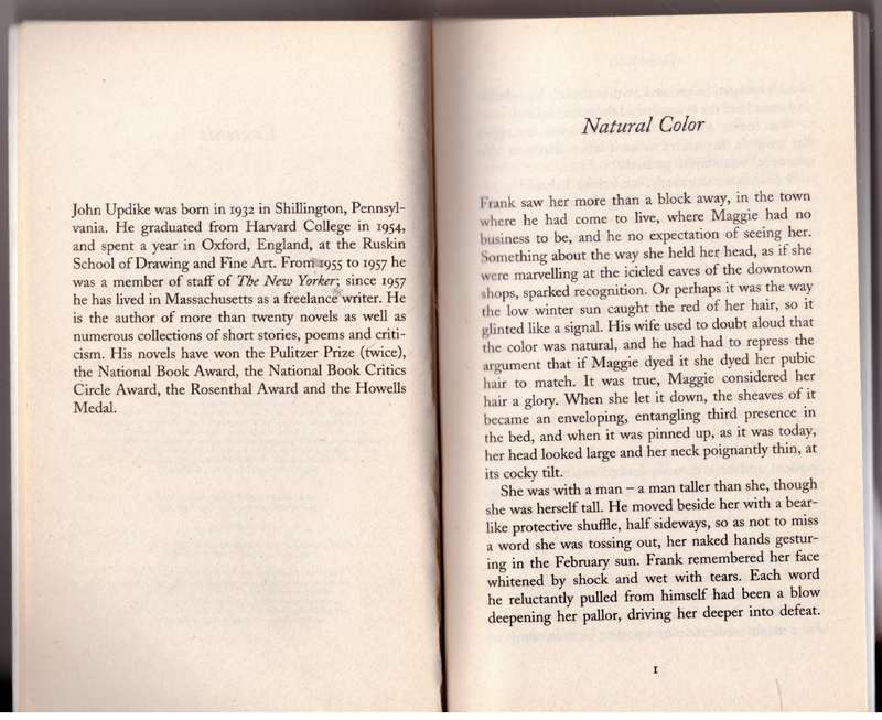 The Women Who Got Away -- John Updike