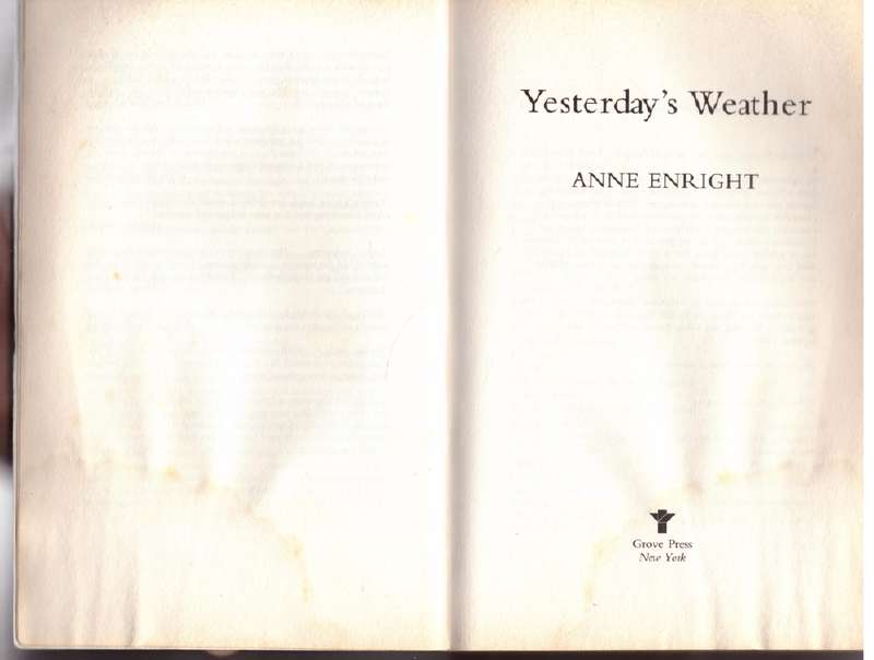 Yesterday's Weather - Anne Enright