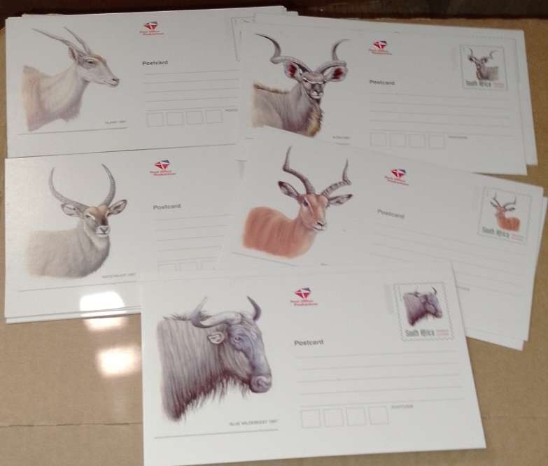 Vintage South African post office S. A Buck post cards
