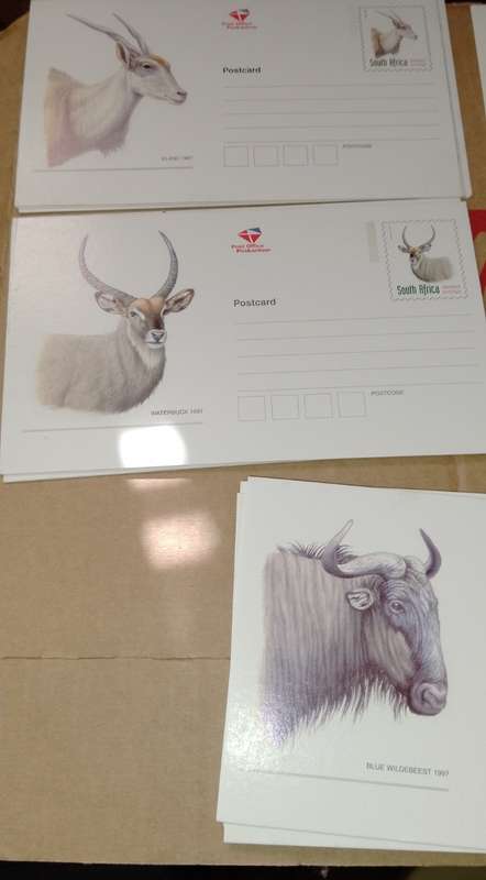 Vintage South African post office S. A Buck post cards