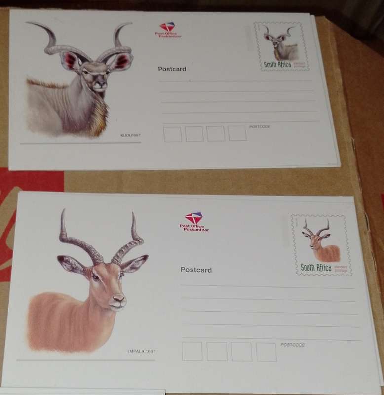 Vintage South African post office S. A Buck post cards
