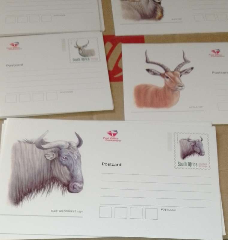 Vintage South African post office S. A Buck post cards