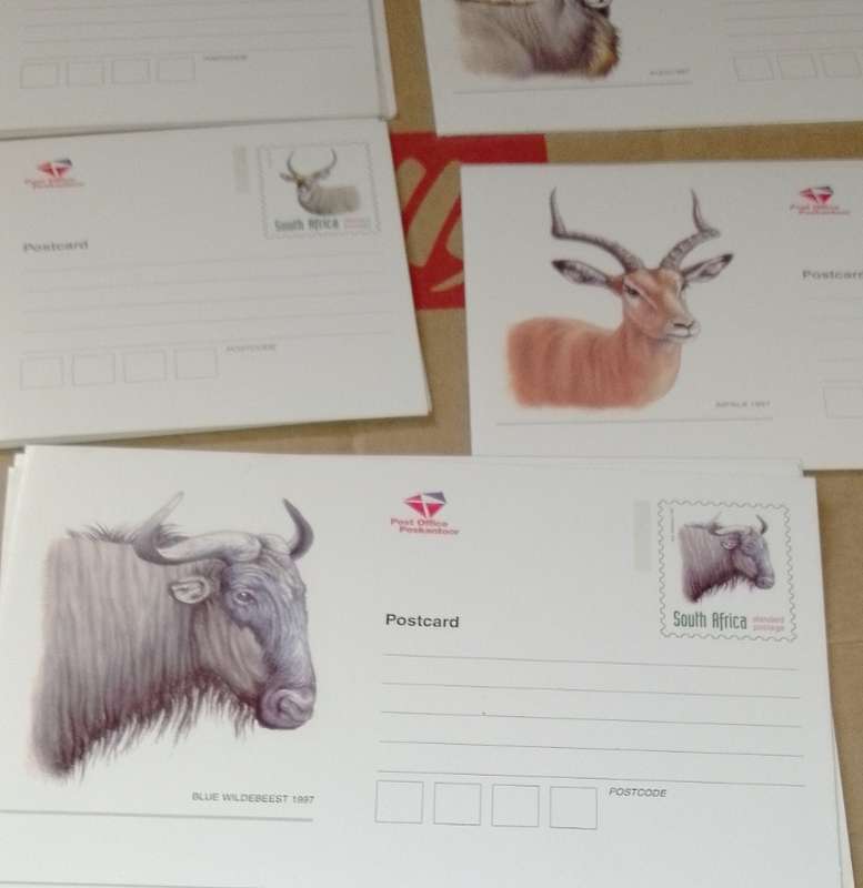 Vintage South African post office S. A Buck post cards