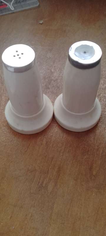 A pair of bone salt and pepper shakers