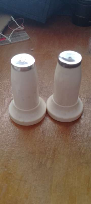A pair of bone salt and pepper shakers