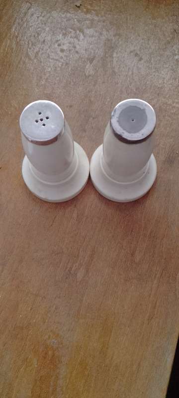 A pair of bone salt and pepper shakers