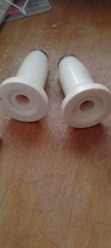 A pair of bone salt and pepper shakers