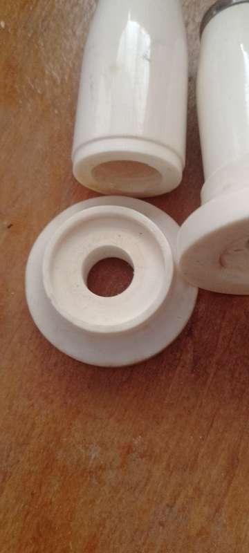 A pair of bone salt and pepper shakers